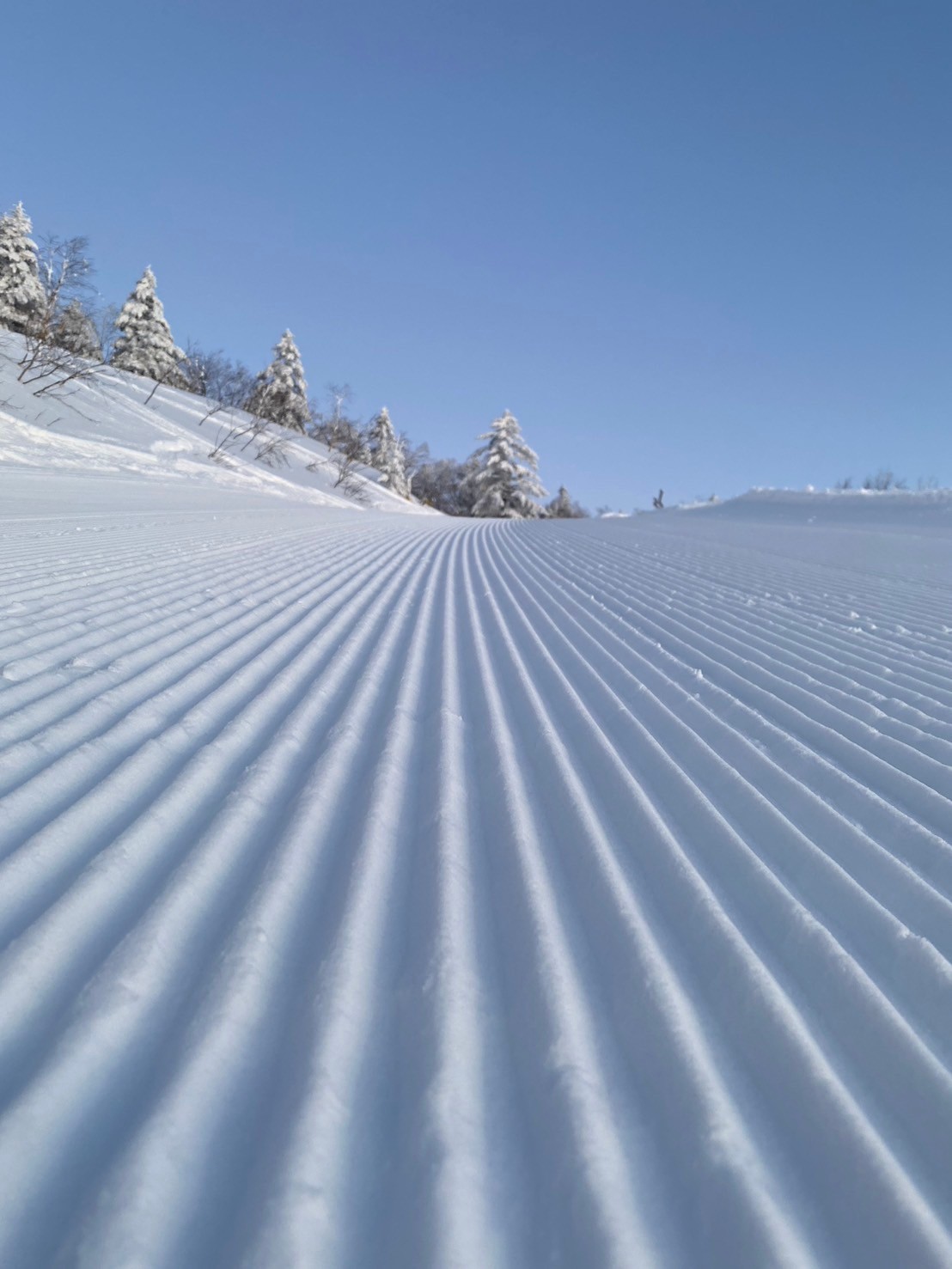 最高級の雪質